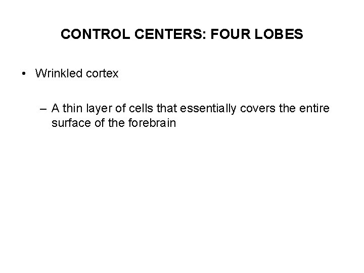 CONTROL CENTERS: FOUR LOBES • Wrinkled cortex – A thin layer of cells that