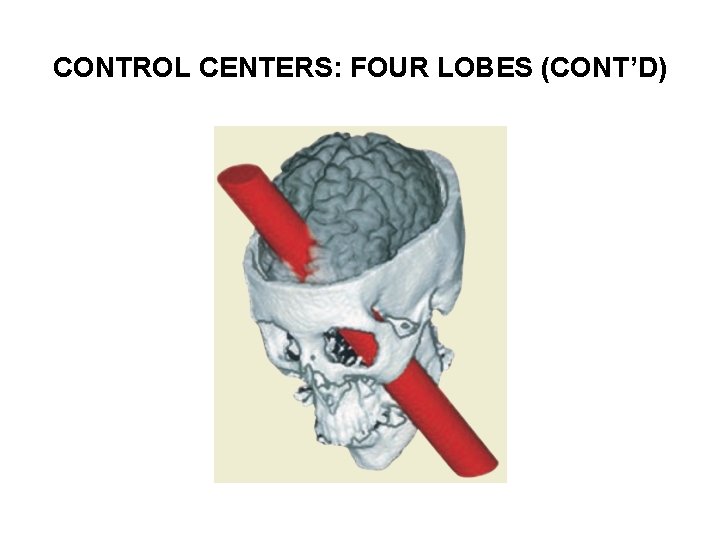 CONTROL CENTERS: FOUR LOBES (CONT’D) 