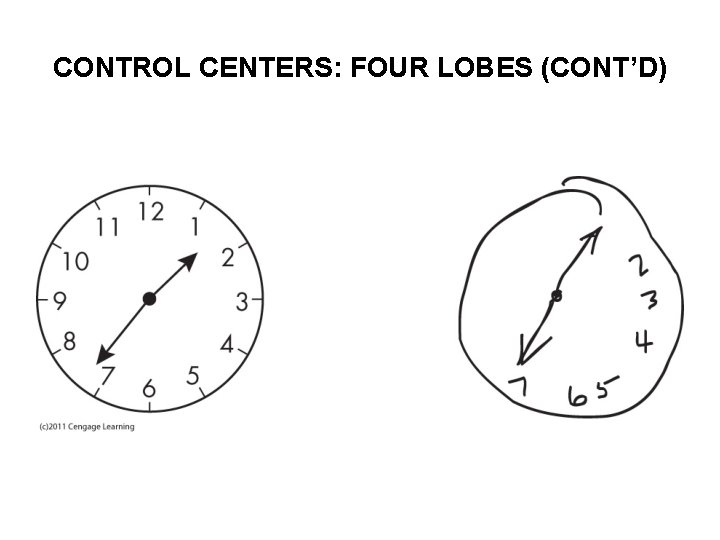 CONTROL CENTERS: FOUR LOBES (CONT’D) 