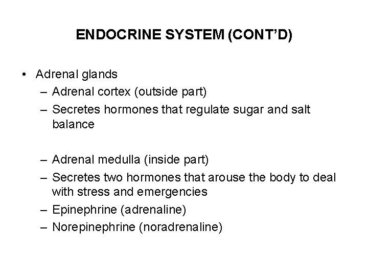 ENDOCRINE SYSTEM (CONT’D) • Adrenal glands – Adrenal cortex (outside part) – Secretes hormones