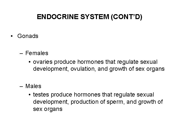 ENDOCRINE SYSTEM (CONT’D) • Gonads – Females • ovaries produce hormones that regulate sexual