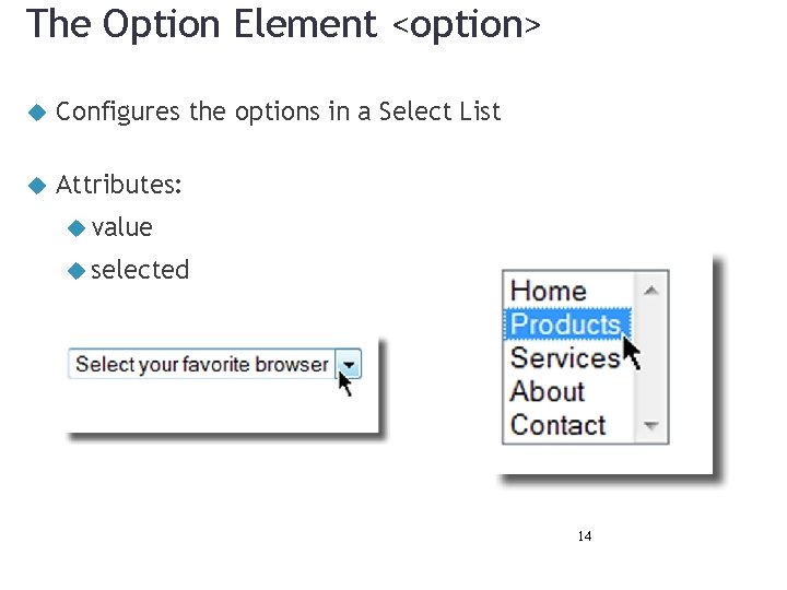 The Option Element <option> Configures the options in a Select List Attributes: value selected