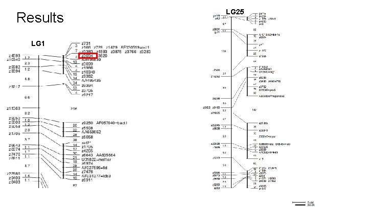 Results LG 1 c. M c. R LG 25 