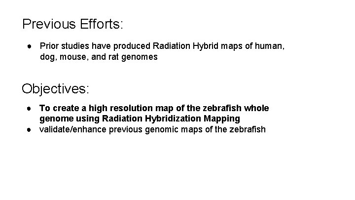 Previous Efforts: ● Prior studies have produced Radiation Hybrid maps of human, dog, mouse,