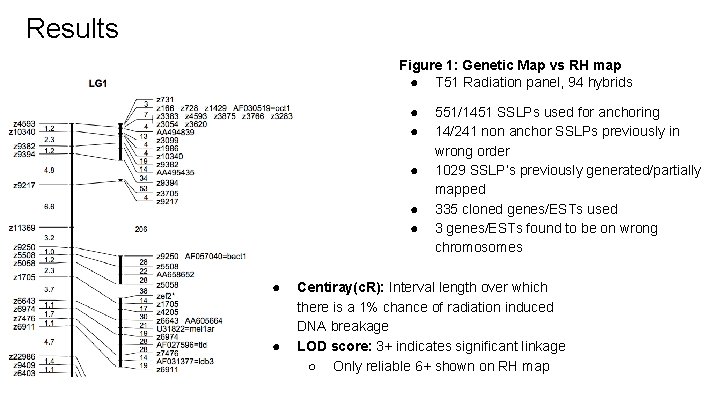 Results Figure 1: Genetic Map vs RH map ● T 51 Radiation panel, 94