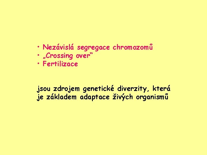  • Nezávislá segregace chromozomů • „Crossing over“ • Fertilizace jsou zdrojem genetické diverzity,