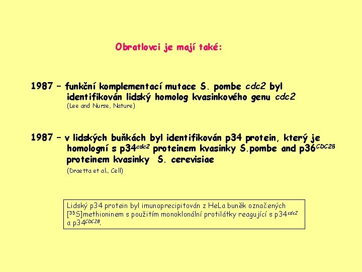 Obratlovci je mají také: 1987 – funkční komplementací mutace S. pombe cdc 2 byl