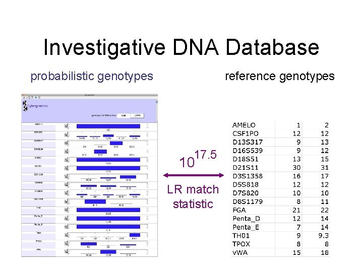 Investigative DNA Database probabilistic genotypes reference genotypes 17. 5 10 LR match statistic 