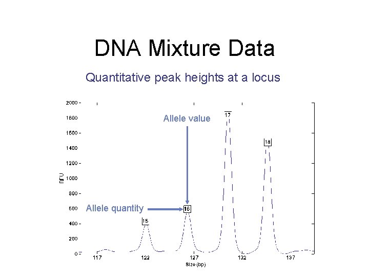 DNA Mixture Data Quantitative peak heights at a locus Allele value Allele quantity 