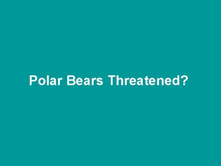 Polar Bears Threatened? 