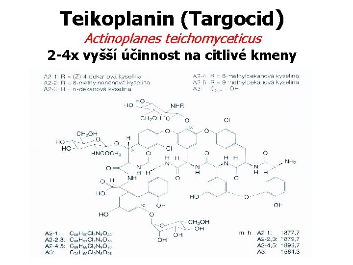 Teikoplanin (Targocid) Actinoplanes teichomyceticus 2 -4 x vyšší účinnost na citlivé kmeny 