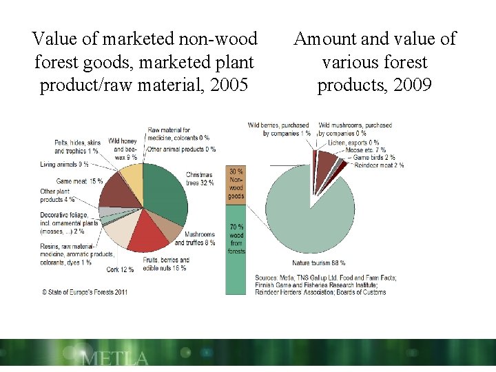 Value of marketed non-wood forest goods, marketed plant product/raw material, 2005 Amount and value