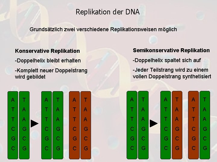Replikation der DNA Grundsätzlich zwei verschiedene Replikationsweisen möglich Konservative Replikation Semikonservative Replikation -Doppelhelix bleibt