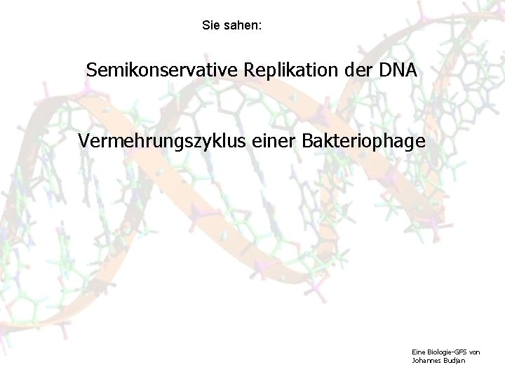 Sie sahen: Semikonservative Replikation der DNA Vermehrungszyklus einer Bakteriophage Eine Biologie-GFS von Johannes Budjan