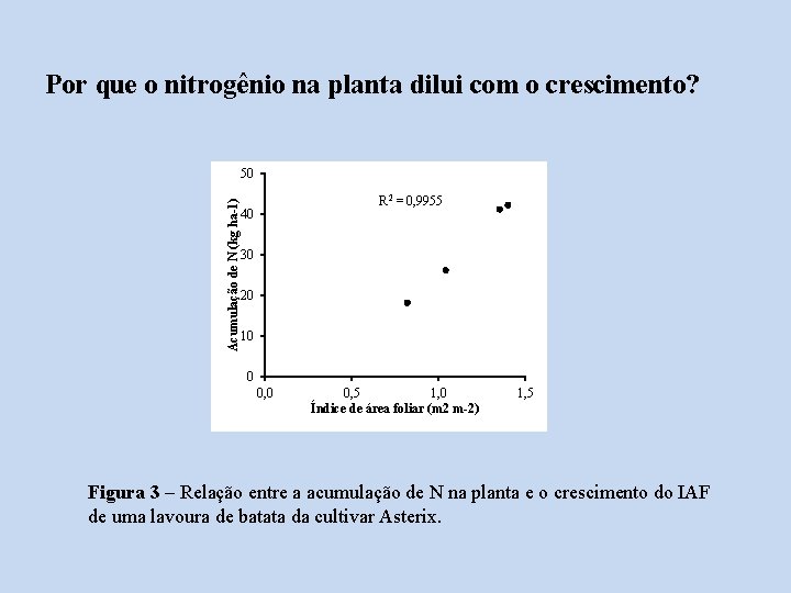 Por que o nitrogênio na planta dilui com o crescimento? Acumulação de N (kg