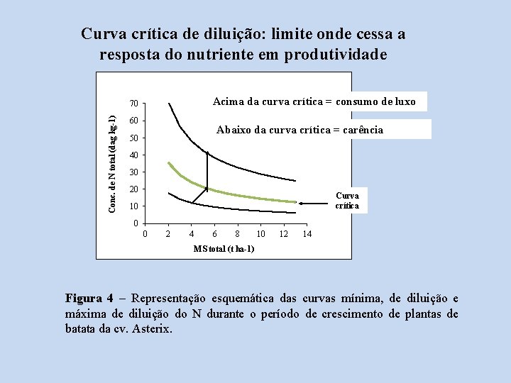 Curva crítica de diluição: limite onde cessa a resposta do nutriente em produtividade Acima