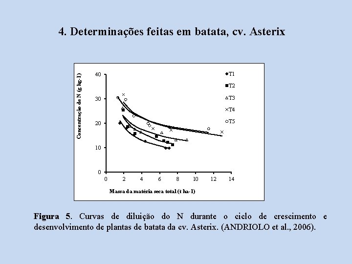 Concentração de N (g kg-1) 4. Determinações feitas em batata, cv. Asterix T 1