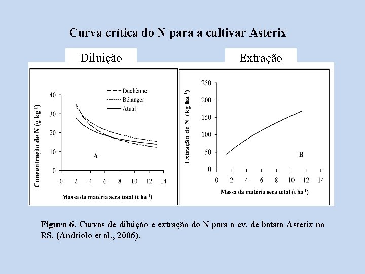 Curva crítica do N para a cultivar Asterix Diluição Extração Figura 6. Curvas de