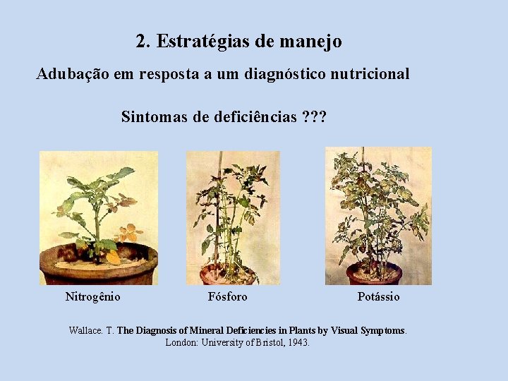 2. Estratégias de manejo Adubação em resposta a um diagnóstico nutricional Sintomas de deficiências