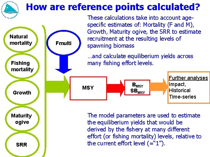 How are reference points calculated? Natural mortality Fishing mortality Growth Maturity ogive SRR Fmulti