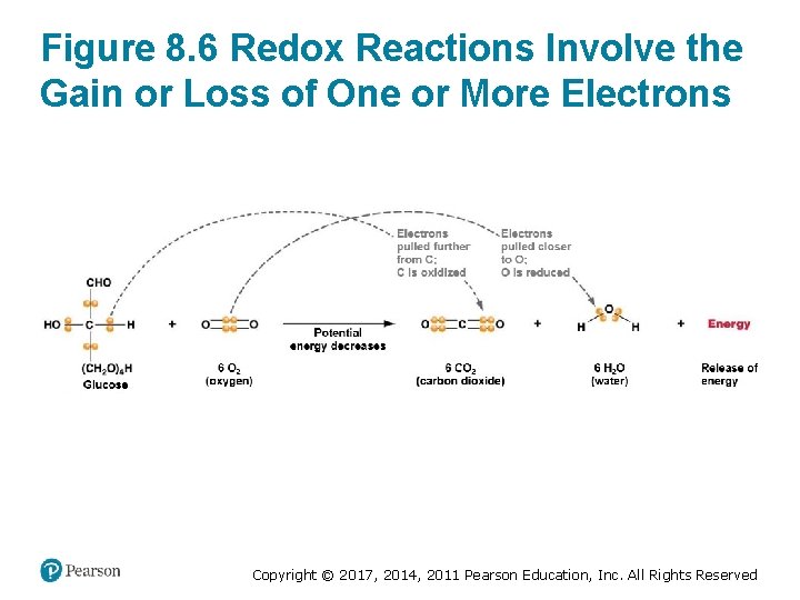 Figure 8. 6 Redox Reactions Involve the Gain or Loss of One or More