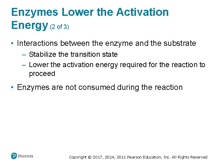 Enzymes Lower the Activation Energy (2 of 3) • Interactions between the enzyme and