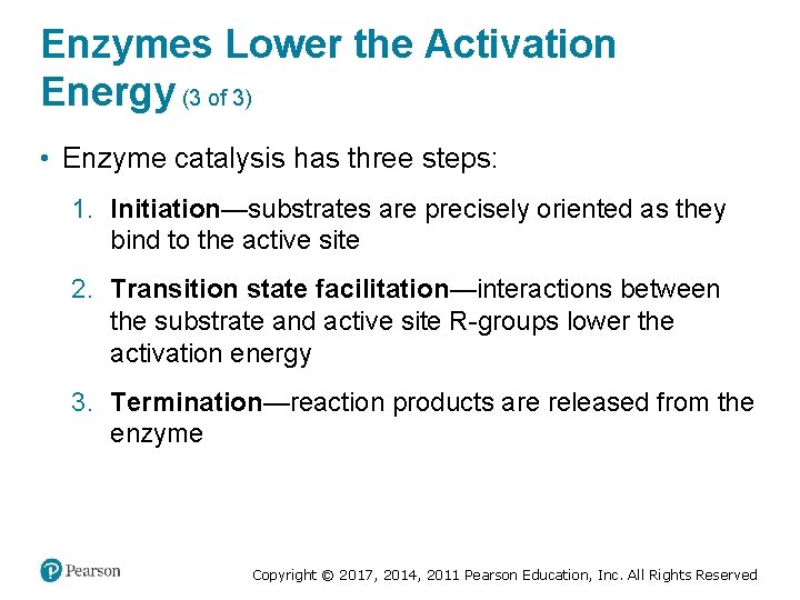 Enzymes Lower the Activation Energy (3 of 3) • Enzyme catalysis has three steps: