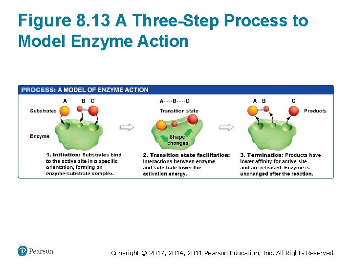 Figure 8. 13 A Three-Step Process to Model Enzyme Action Copyright © 2017, 2014,