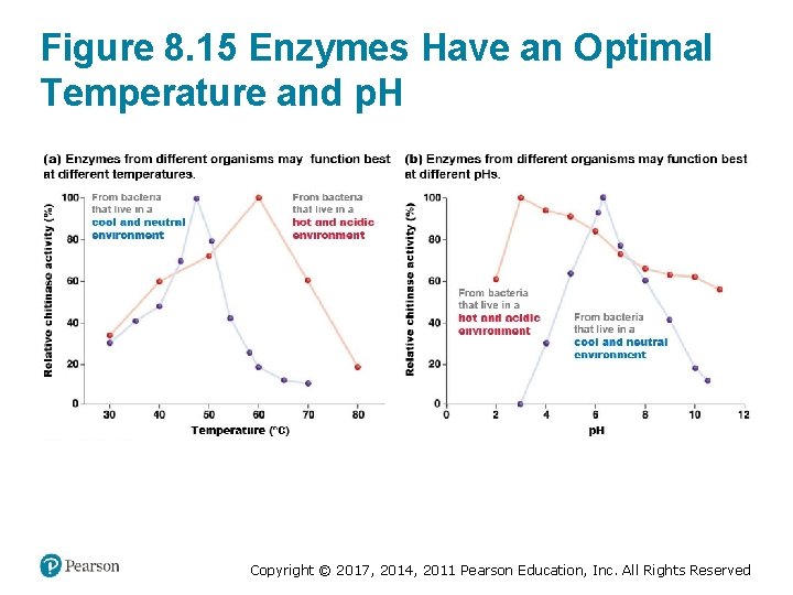 Figure 8. 15 Enzymes Have an Optimal Temperature and p. H Copyright © 2017,