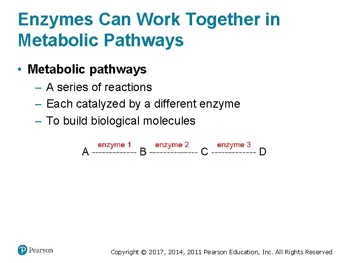 Enzymes Can Work Together in Metabolic Pathways • Metabolic pathways – A series of