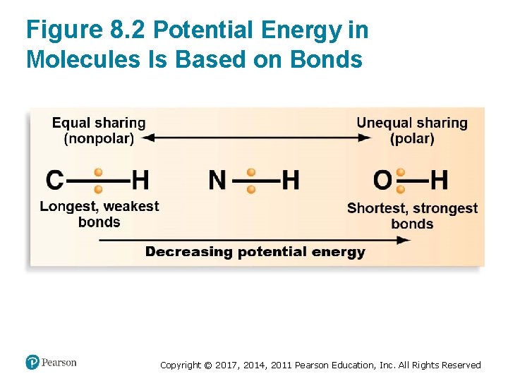 Figure 8. 2 Potential Energy in Molecules Is Based on Bonds Copyright © 2017,