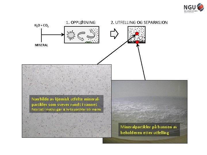 H 2 O + CO 2 1. OPPLØSNING. 2. UTFELLING OG SEPARASJON. MINERAL Nærbilde