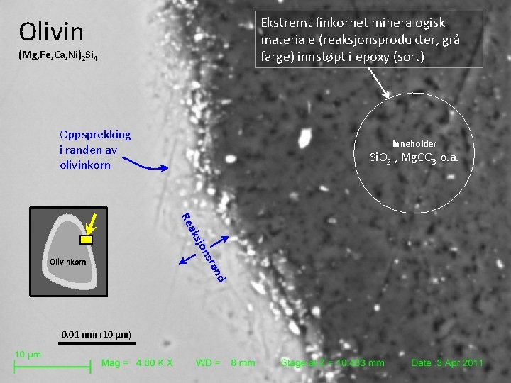 Olivin Ekstremt finkornet mineralogisk materiale (reaksjonsprodukter, grå farge) innstøpt i epoxy (sort) (Mg, Fe,