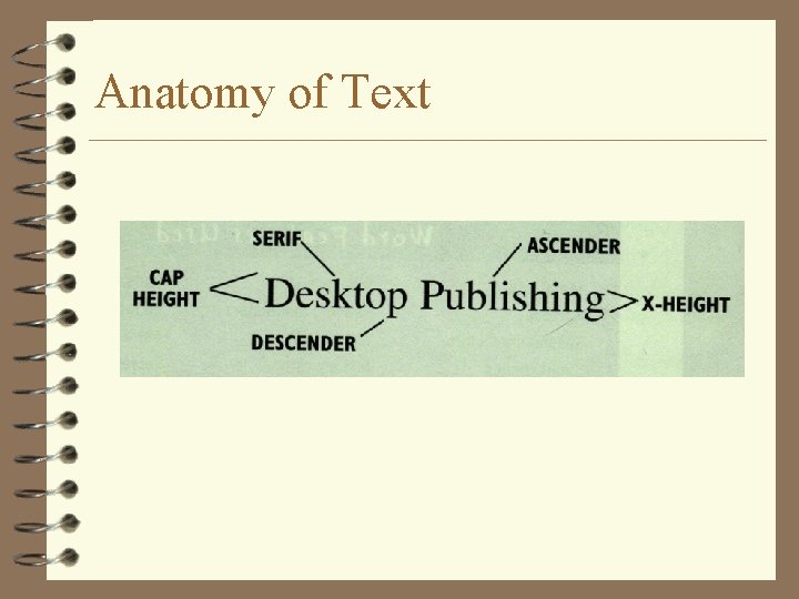 Anatomy of Text 