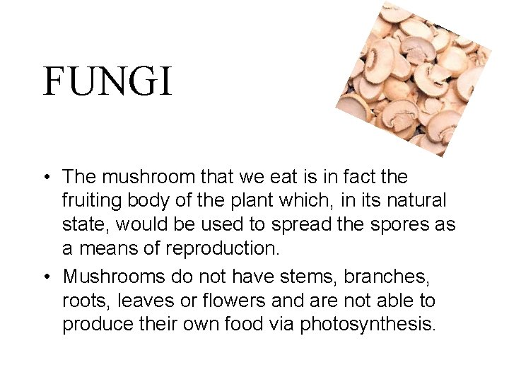 FUNGI • The mushroom that we eat is in fact the fruiting body of