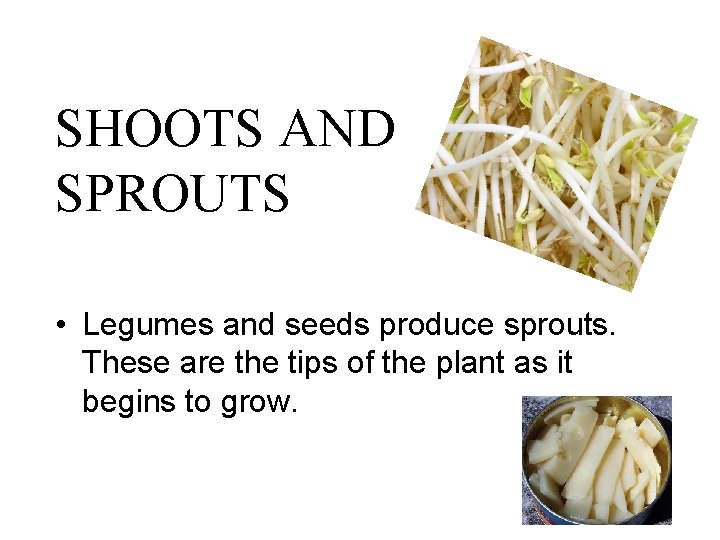 SHOOTS AND SPROUTS • Legumes and seeds produce sprouts. These are the tips of