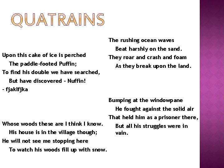 The rushing ocean waves Upon this cake of ice is perched The paddle-footed Puffin;