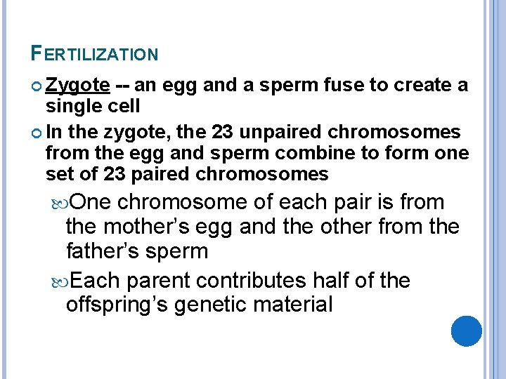 FERTILIZATION Zygote -- an egg and a sperm fuse to create a single cell