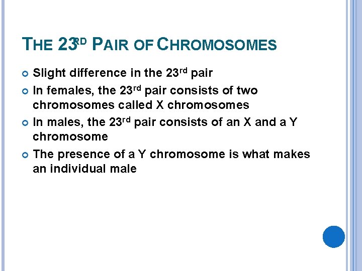 THE 23 RD PAIR OF CHROMOSOMES Slight difference in the 23 rd pair In
