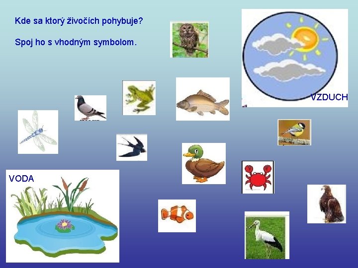 Kde sa ktorý živočích pohybuje? Spoj ho s vhodným symbolom. VZDUCH VODA 