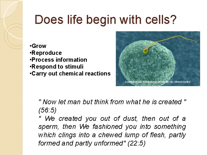 Does life begin with cells? • Grow • Reproduce • Process information • Respond