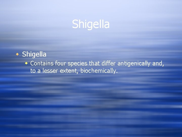 Shigella w Contains four species that differ antigenically and, to a lesser extent, biochemically.