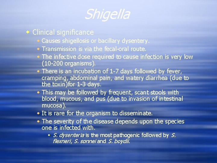 Shigella w Clinical significance w Causes shigellosis or bacillary dysentery. w Transmission is via