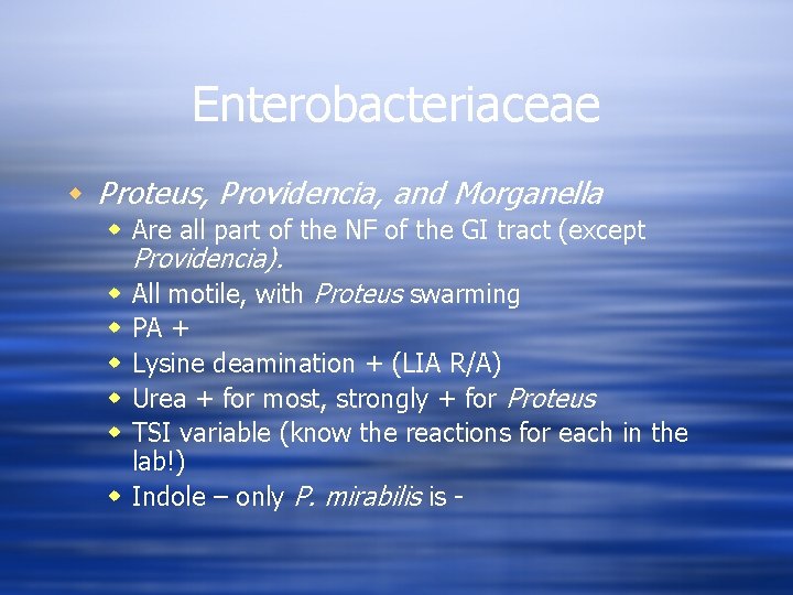 Enterobacteriaceae w Proteus, Providencia, and Morganella w Are all part of the NF of