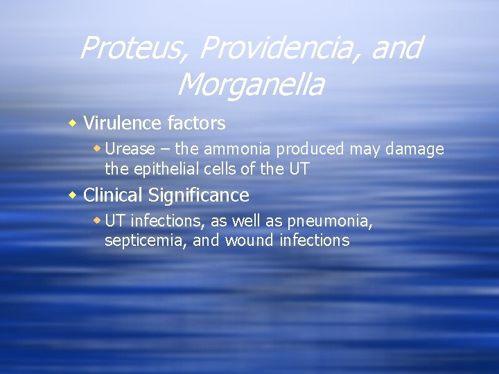 Proteus, Providencia, and Morganella w Virulence factors w Urease – the ammonia produced may