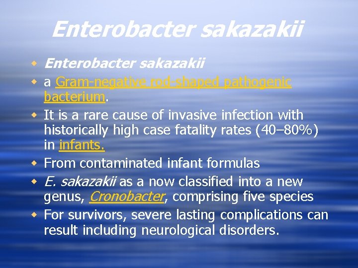 Enterobacter sakazakii w a Gram-negative rod-shaped pathogenic bacterium. w It is a rare cause