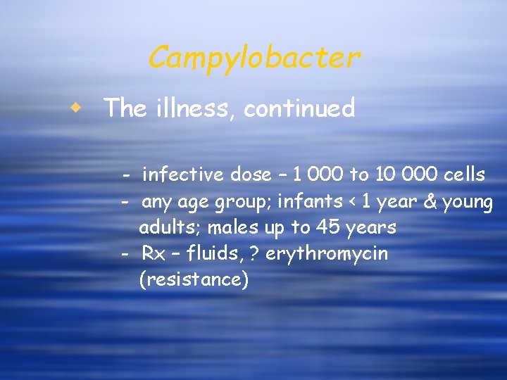 Campylobacter w The illness, continued - infective dose – 1 000 to 10 000