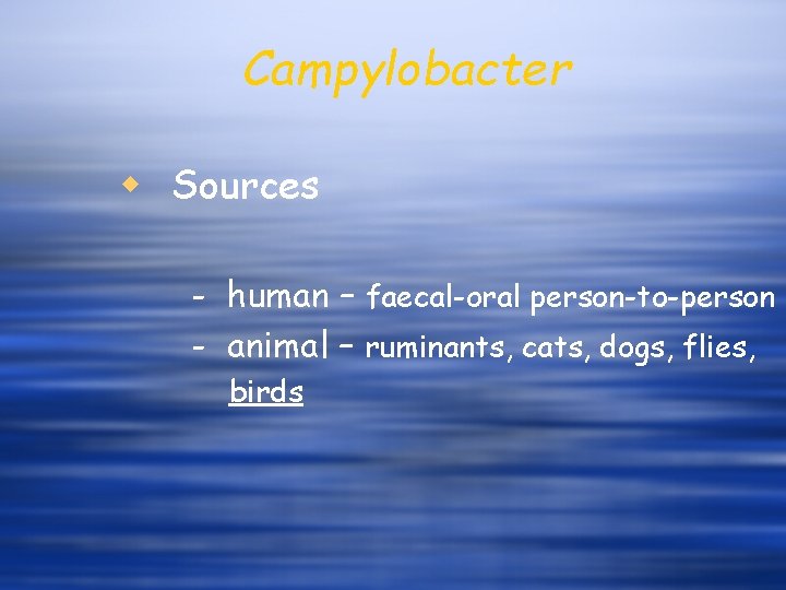 Campylobacter w Sources - human – faecal-oral person-to-person - animal – ruminants, cats, dogs,