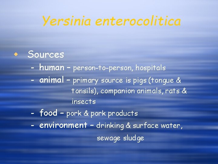 Yersinia enterocolitica w Sources - human – person-to-person, hospitals - animal – primary source