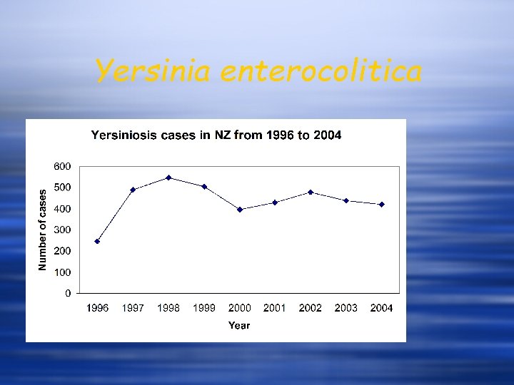 Yersinia enterocolitica 